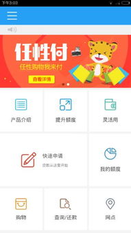 任性，是生活中的一種錯(cuò)位的善意