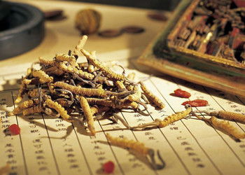 中醫(yī)藥治療結(jié)締組織病相關(guān)間質(zhì)性肺病的研究進(jìn)展